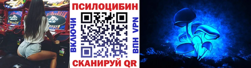 Галлюциногенные грибы прущие грибы KRAKEN рабочий сайт Себеж